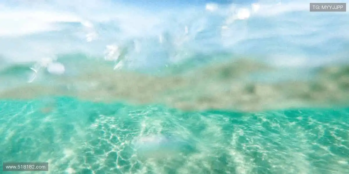 「万人呐喊，千场对决 —— 顶级赛事尽在指尖掌控！⚽立即购票，抢占黄金席位！」